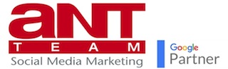 Ant Team Social Media Marketing - Google Partner